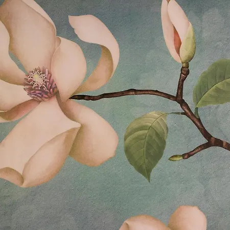 Marinelli - La Madonnina * 奥西莫